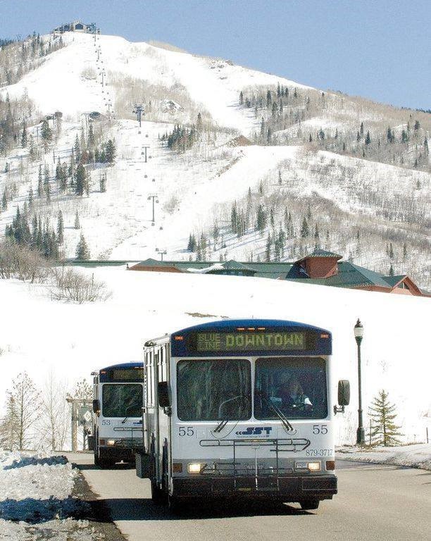 SST Winter Buses.jpg